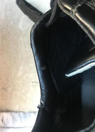 Hogan 7