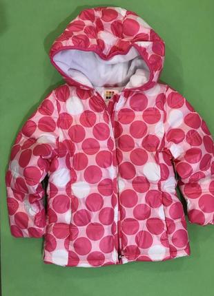 Курточки для девочки на холодную осень4 фото