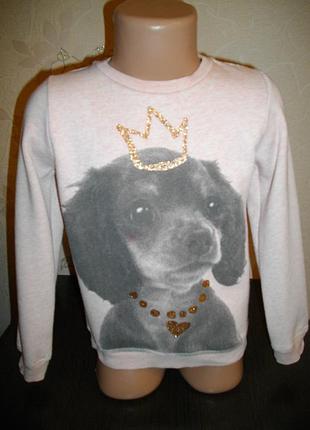 Кофта h&m, внутри начесик, 5-6 лет (110-116 см)