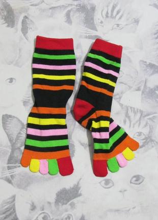 Красочные носочки с пальцами1 фото