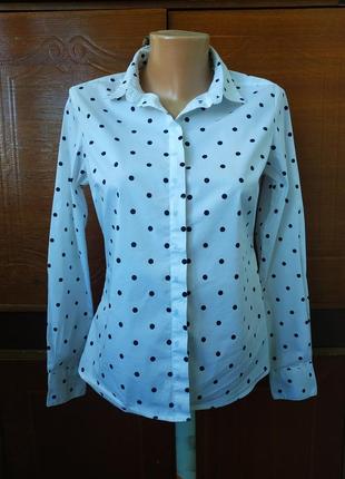 Блуза в горох