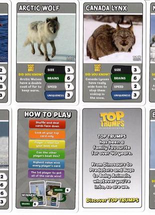 Настільна, карточна гра top trumps - про тварин на англійській мові.4 фото