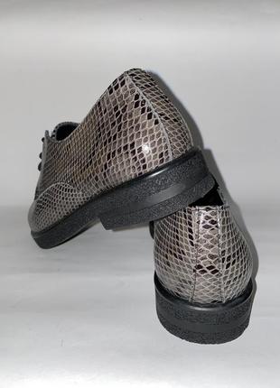Кожаные туфли на шнуровке со змеиным принтом nod trend5 фото