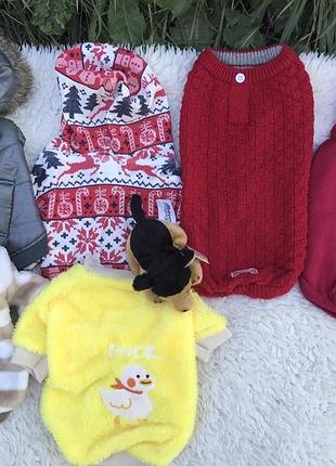Одяг для собачок і котів . кофти . пайти жилетки