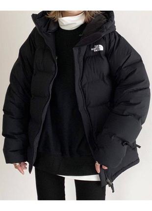 Теплая куртка зе норс фейс с капюшоном из матовой плащевки на силиконе с подкладкой зимняя6 фото