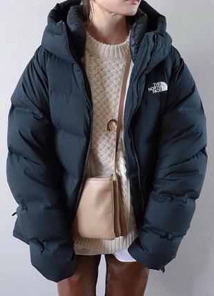 Теплая куртка зе норс фейс с капюшоном из матовой плащевки на силиконе с подкладкой зимняя3 фото