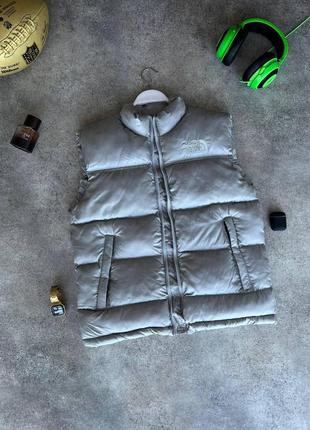 Мужская жилетка the north face серая