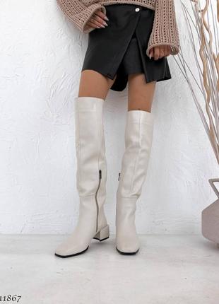 Високі сапоги чоботи ботфорти