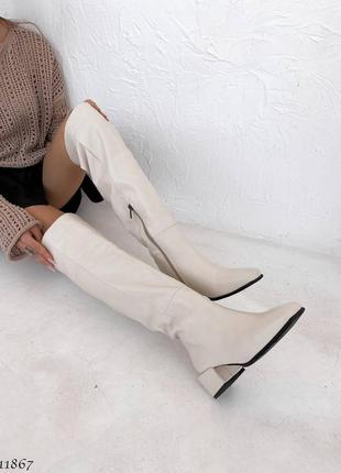 Високі сапоги чоботи ботфорти