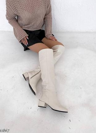 Високі сапоги чоботи ботфорти