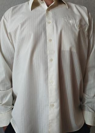 Оригинальная мужская рубашка от pierre cardin
