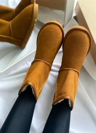 Женские угги ugg5 фото