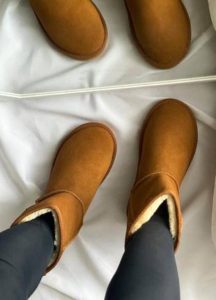 Женские угги ugg6 фото