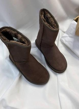 Жіночі уггі ugg8 фото