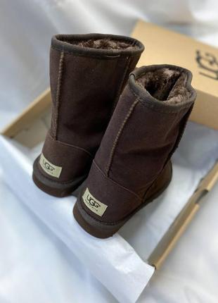 Жіночі уггі ugg9 фото