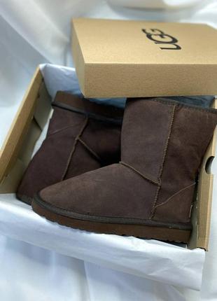 Жіночі уггі ugg7 фото