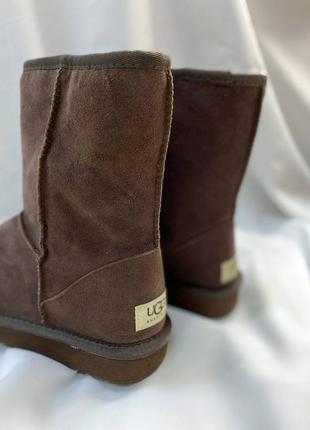 Жіночі уггі ugg6 фото