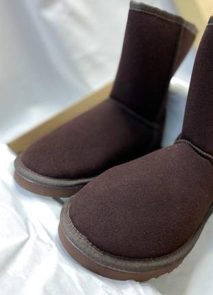 Женские угги ugg5 фото