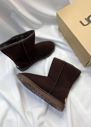 Женские угги ugg2 фото