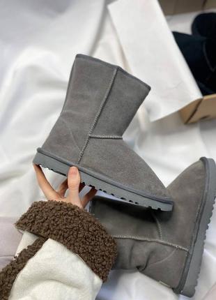 Женские угги ugg