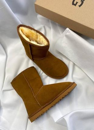 Женские угги ugg2 фото