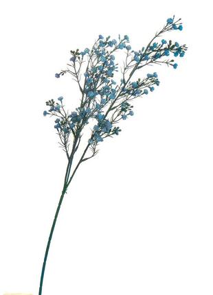 Ветка сухоцвета полевого синяя1 фото