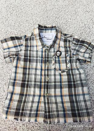 Сорочка дитячої фірми earth keepers, країна виробник індію.