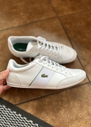 Кеды мужские lacoste