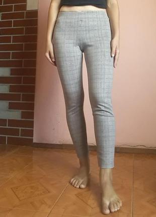 Лосіни в клітинку