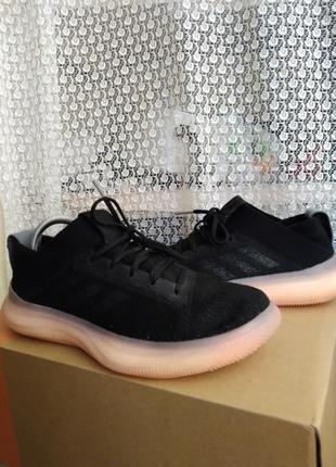 Спортивні кросівки adidas pureboost trainer