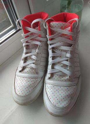Кросівки adidas b44295 розмір 39.