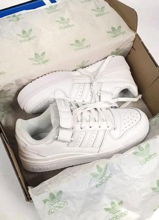 Adidas forum low •white•