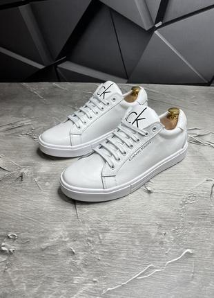 Кеди calvin klein