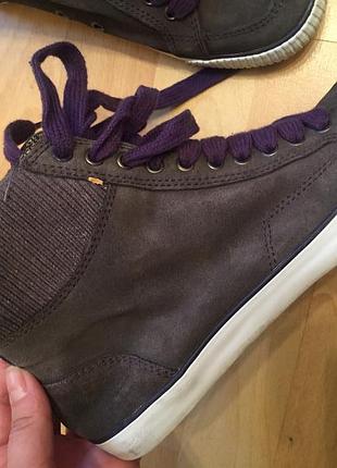 Замшеві чоботи черевики clarks