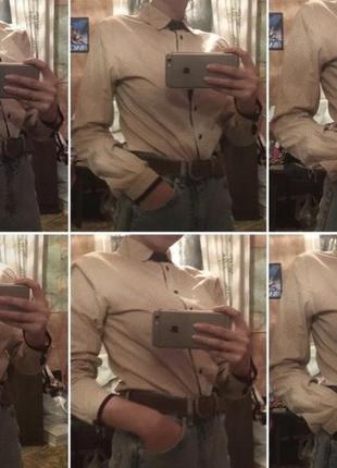 Рубашка/блузка классическая офисная школьная деловая хлопок/коттон