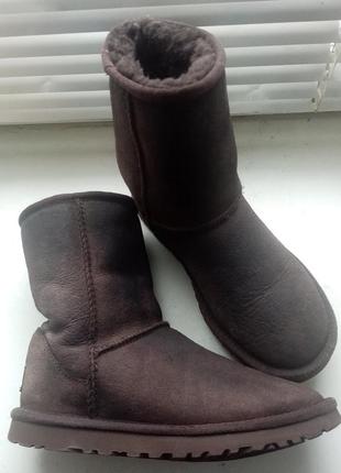 Оригинал. 22 см. ботинки уги ugg classic short