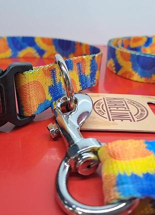 Поводок + нашейник