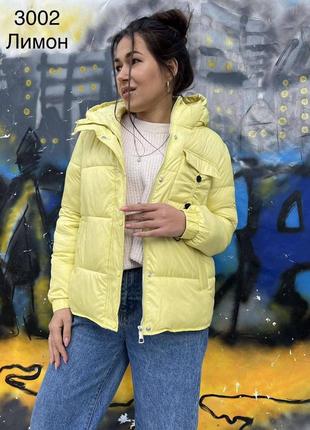 Куртка пуховик плащ вітровка