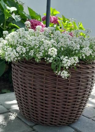 Кашпо з ротангу 5 ,10, 12 , 16 л