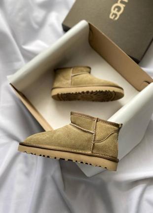 Жіночі уггі ugg7 фото