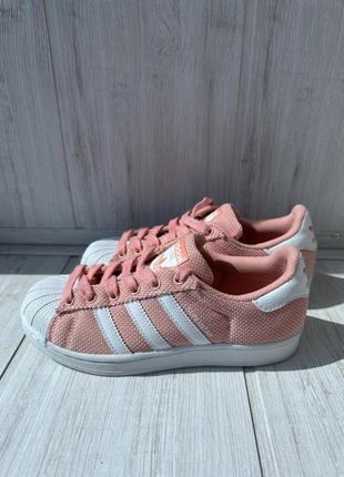 Superstar 35.5 cheap