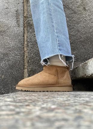 Угги ugg