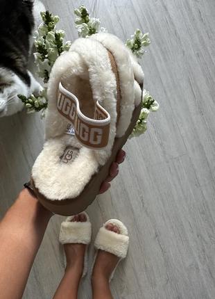 Обувь ugg1 фото