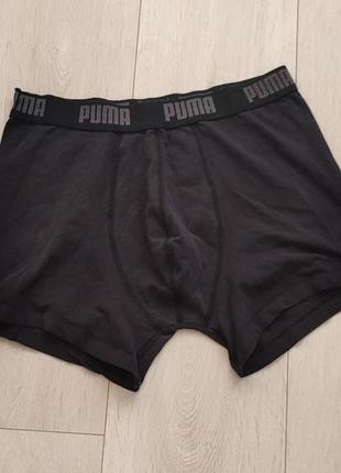 Труси базові боксерки чоловічі котонові puma m l 10 12 38 40