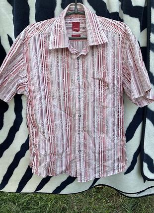 Тенниска мужская