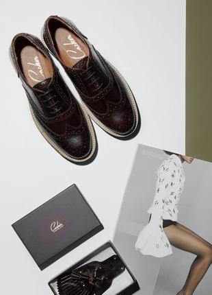 Шкіряні оксфорди casher, туфлі-оксфорди