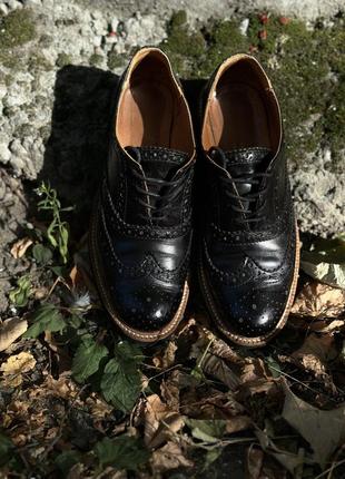 Шкіряні оксфорди casher, туфлі-оксфорди