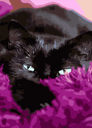 Картина по номерам черный котик в покривале hh058
