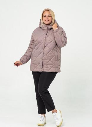 Осенняя женская стеганая куртка рр 50-58 цвета