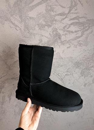 Акція! Высокие женские сапоги sneakers ugg! жіночі замшеві зимові уггі/ чоботи/ черевики 😍 з хутром